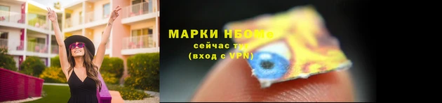 тгк Бородино