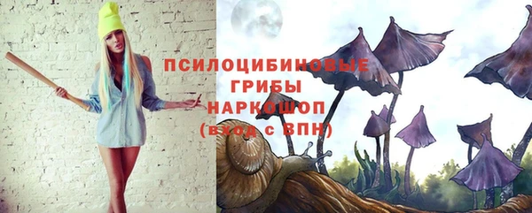 трава Верхнеуральск